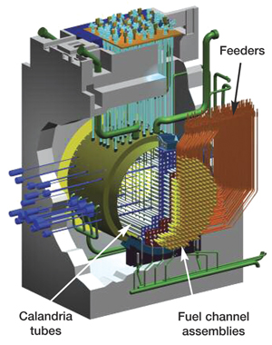 Candu 6 reactor replacement of calandria tubes