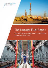 The Nuclear Fuel Report: Global Scenarios for Demand and Supply Availability 2021-2040 image