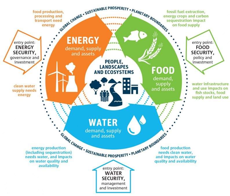 The water-food-energy nexus