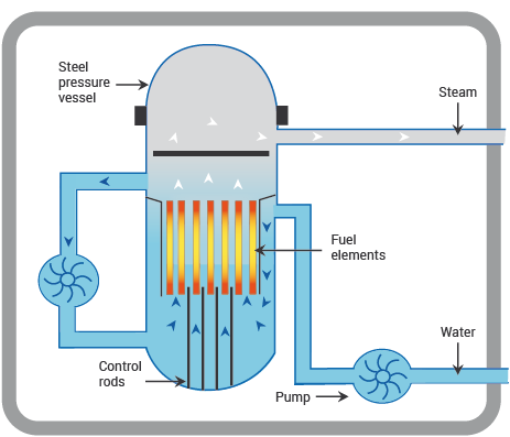 A Boiling Water Reactor (BWR) main features and components