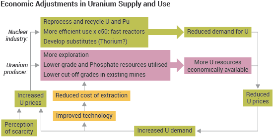 Economic Adjustments in Uranium Supply and Use flow diagram