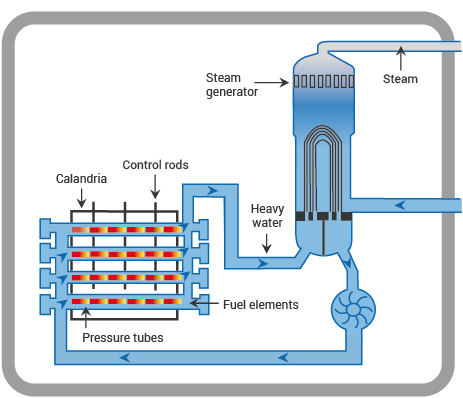 A Pressurised Heavy Water Reactor (PHWR/Candu) main features and components