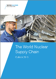 The World Nuclear Supply Chain: Outlook 2040